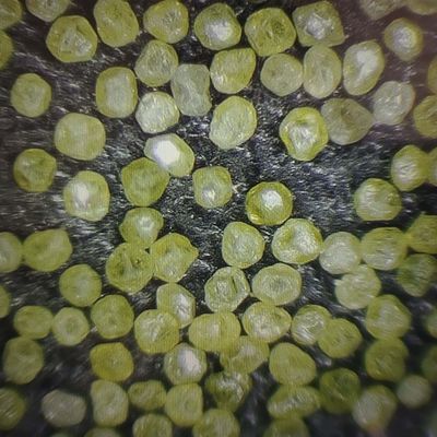 Industrielle synthetische Diamant-Mikron-Staub-Diamantpulver mit 30-Tage-Rückerstattungsrichtlinie
