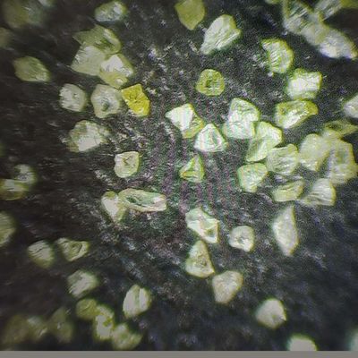 Synthetisches Diamantpulver zum Polieren von Schmuck Xinrui Diamantpulver