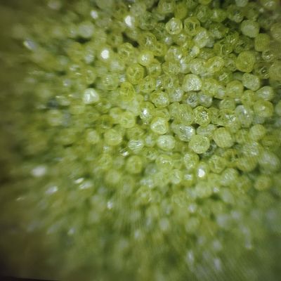 Industrielle Rvd synthetisches Diamantpulver für die Effizienz der Diamantwerkzeugherstellung