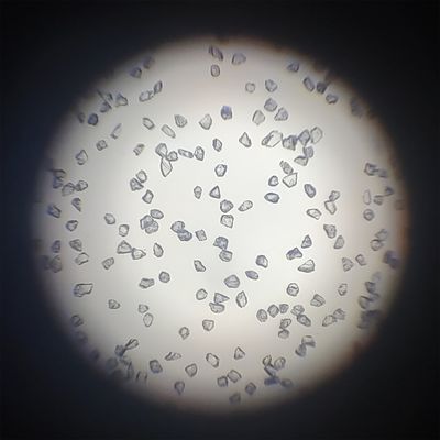 Schmuck bis zur Perfektion polieren mit Mbd synthetischem Diamantpulver